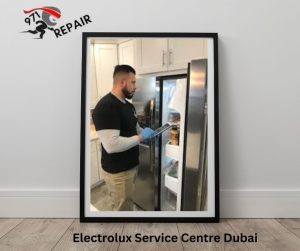 Electrolux Service Centre Dubai 
